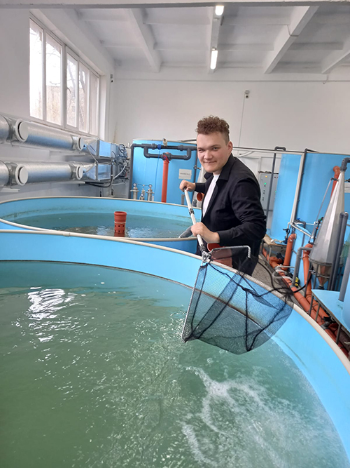 ���������� � ������������� ���������� ����������� ������������ ��������������� ��������� � �������� �����