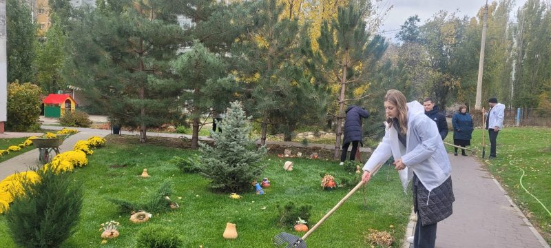 ������� ������ �����. �������� �������� ����.