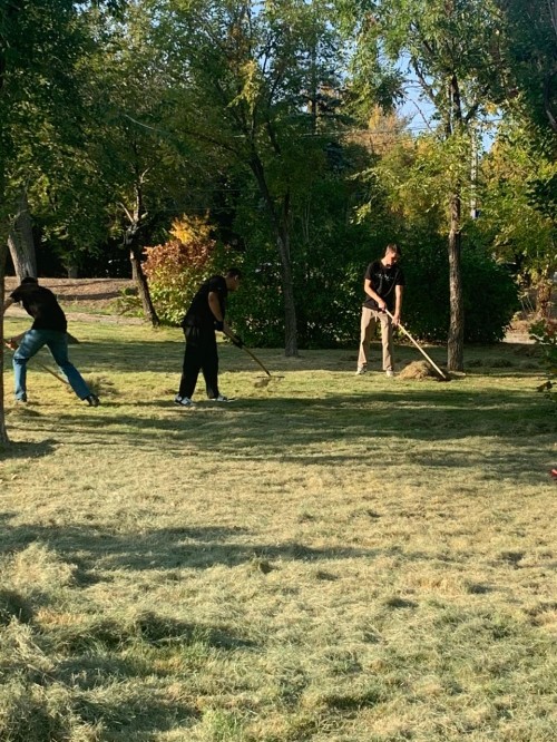 ����������� �����������������  ������� �������� ������� �  ��������������� ����������