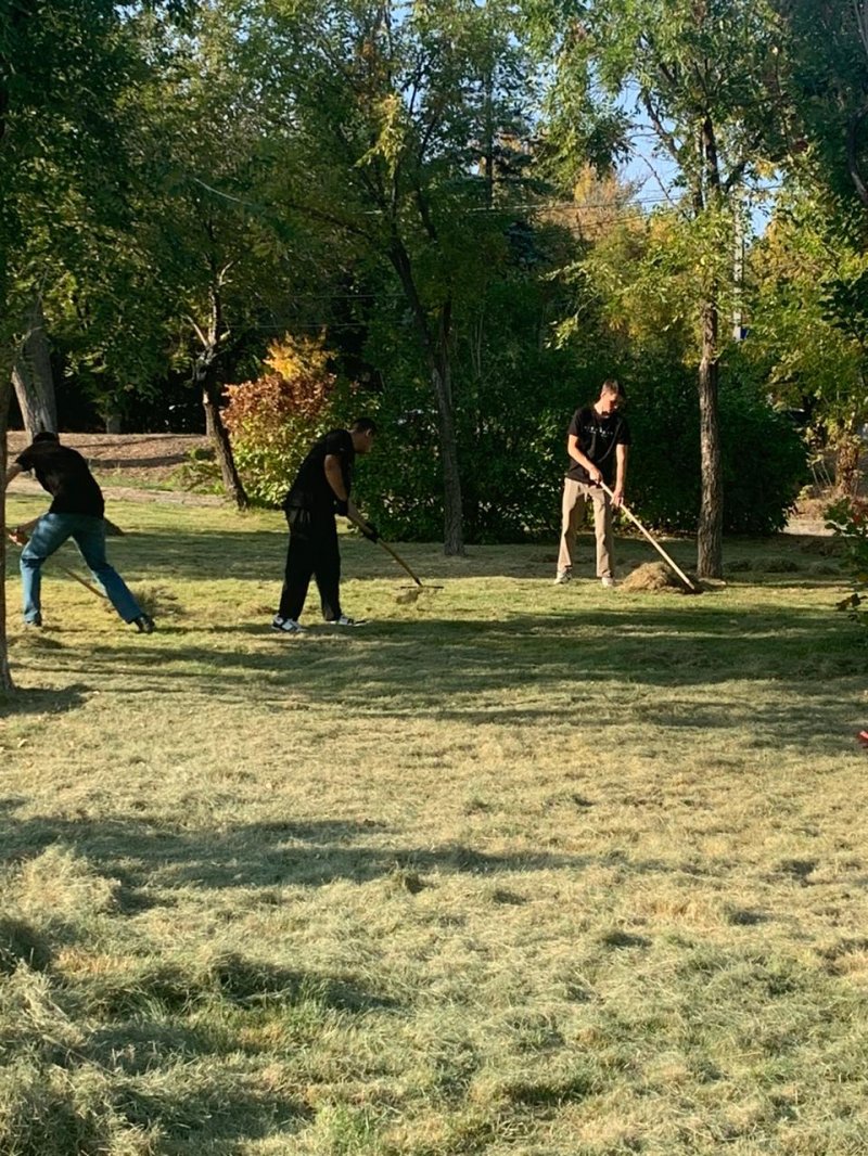 ����������� �����������������  ������� �������� ������� �  ��������������� ����������