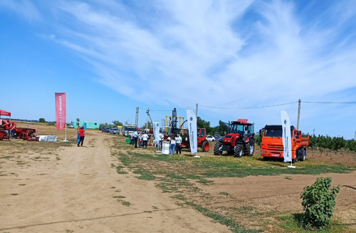 ���� ���� "�������� ����"