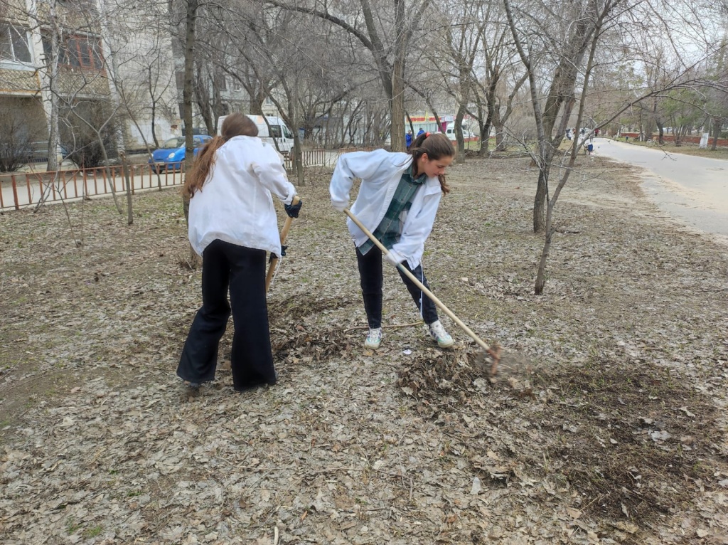 WhatsApp Image 2024-03-29 at 2.34.43 PM.jpeg