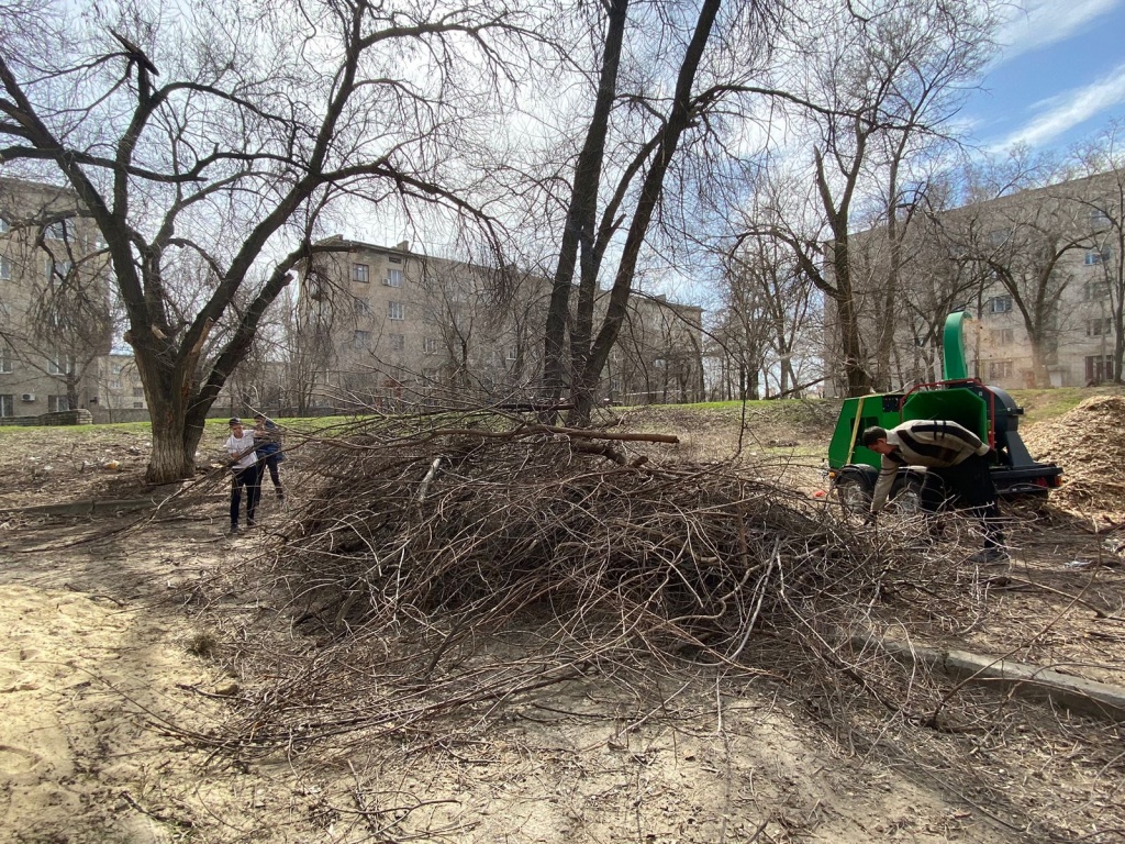 WhatsApp Image 2024-04-03 at 10.40.56.jpeg