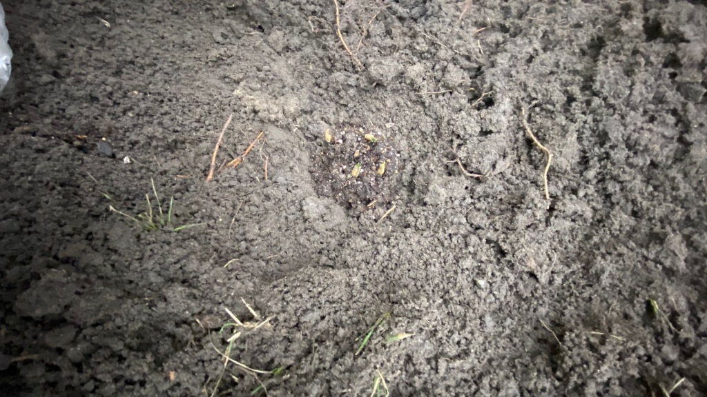 WhatsApp Image 2024-03-29 at 10.10.14 PM.jpeg